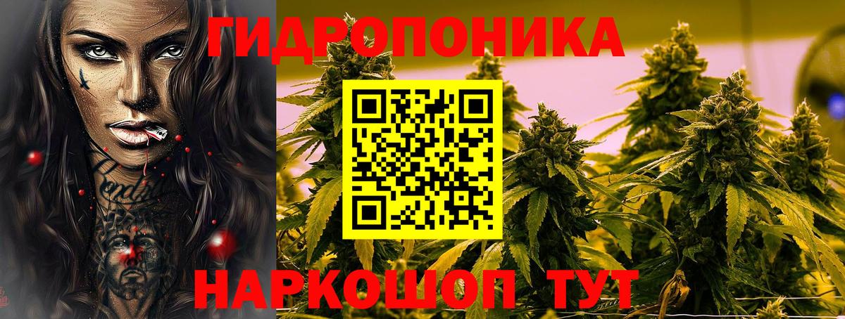 Конопля сатива Волгодонск